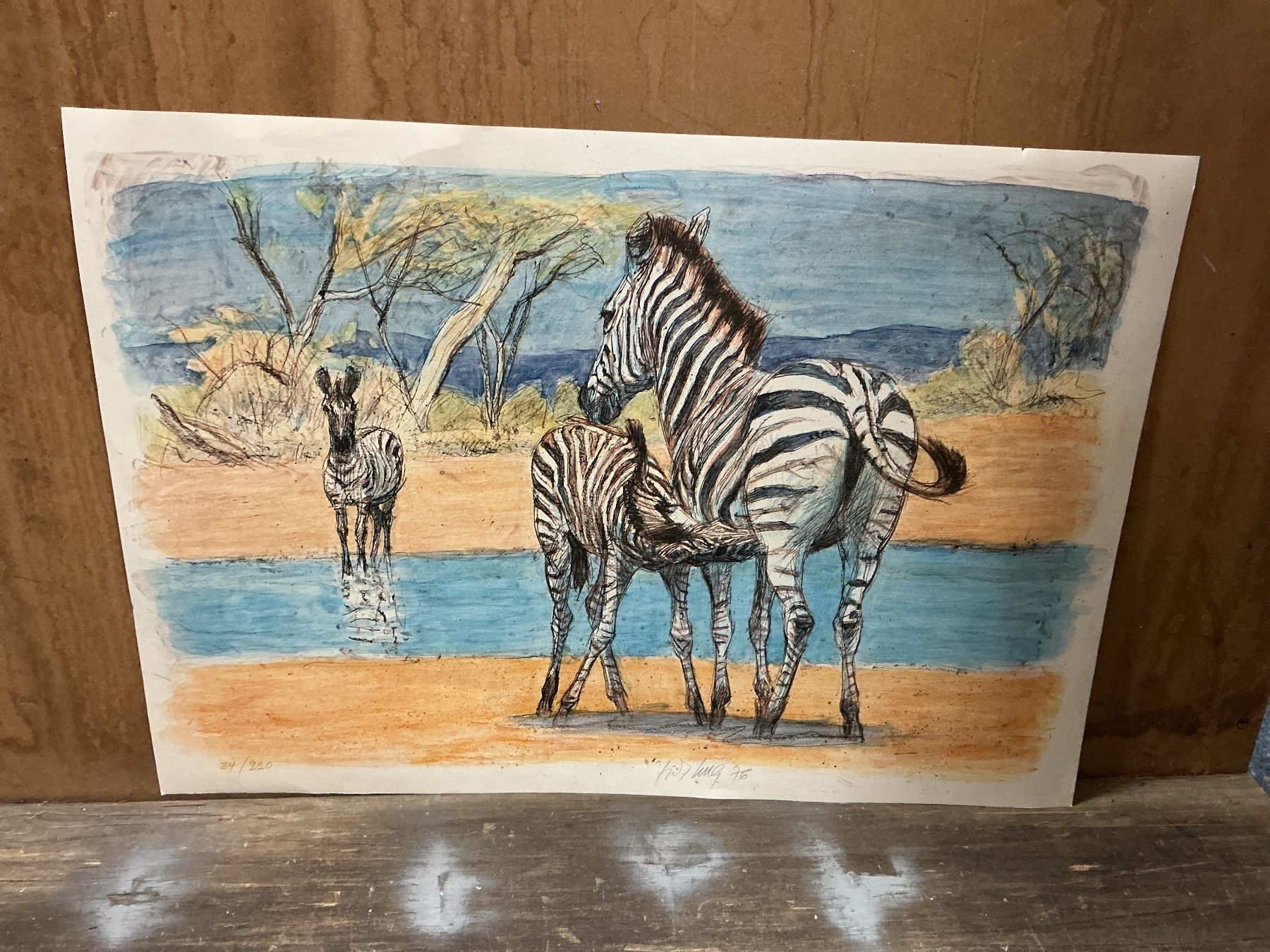 Grafica & Litografie: Zebras von Hug Litho – Usato da Bern venduto da vielerart