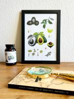 A4 Druck Print von Handgemalte Botanische Avocado mit Rahmen