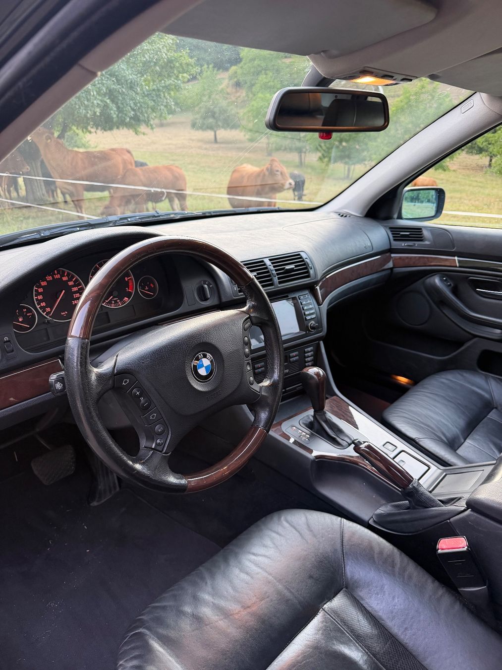 BMW Autos: Bmw 525i e39 – D'occasion à Rheinfelden par dil_6w8t 3