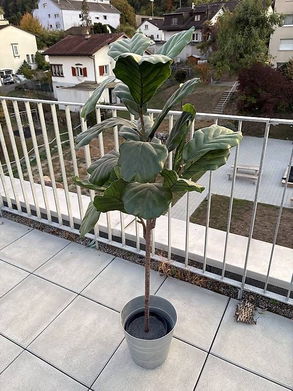 Plantes & graines: tolle Kunstpflanze – D'occasion à Spreitenbach par joe_fm5t