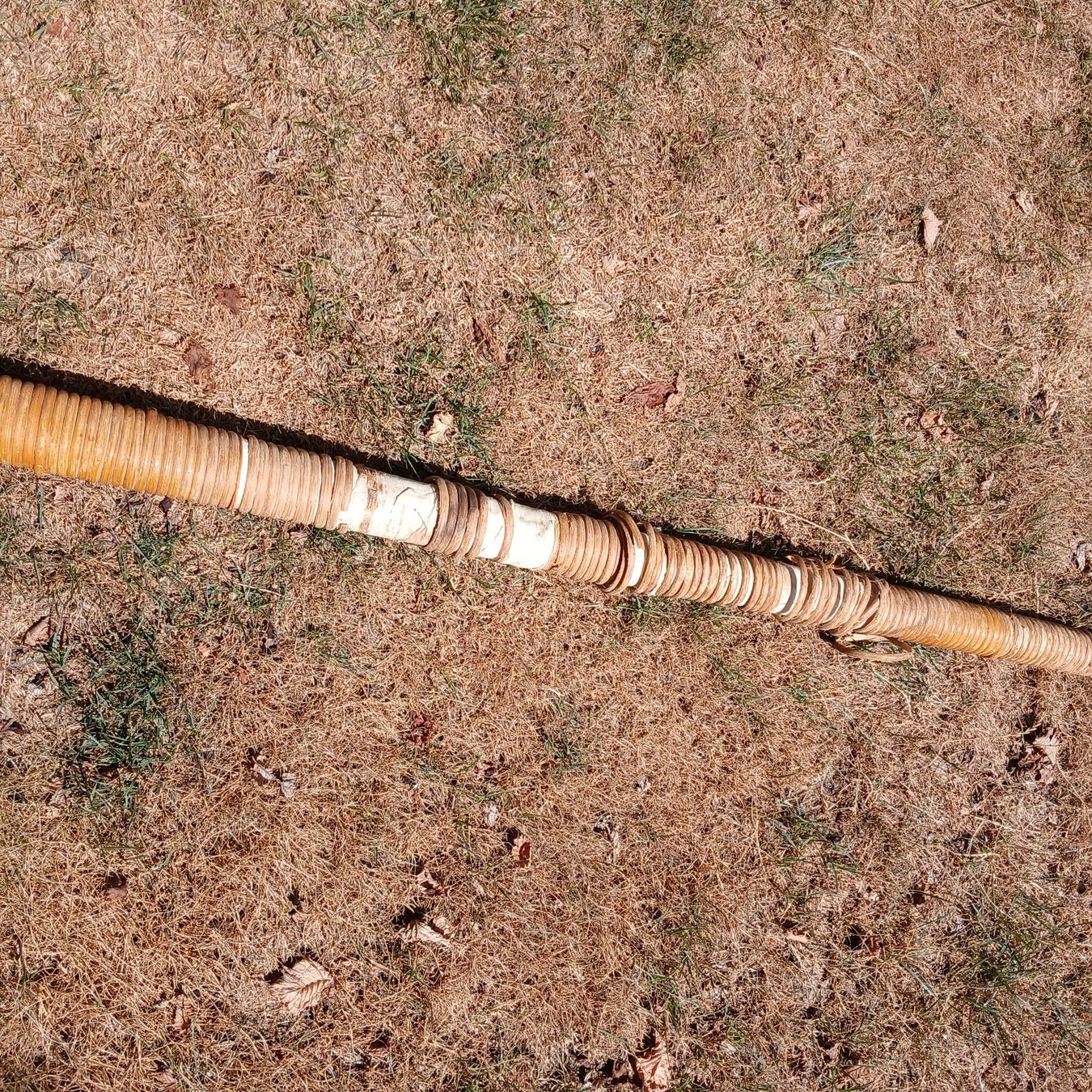 Instruments de musique: Alphorn – D'occasion à Bargen BE par ale_2nhl 3