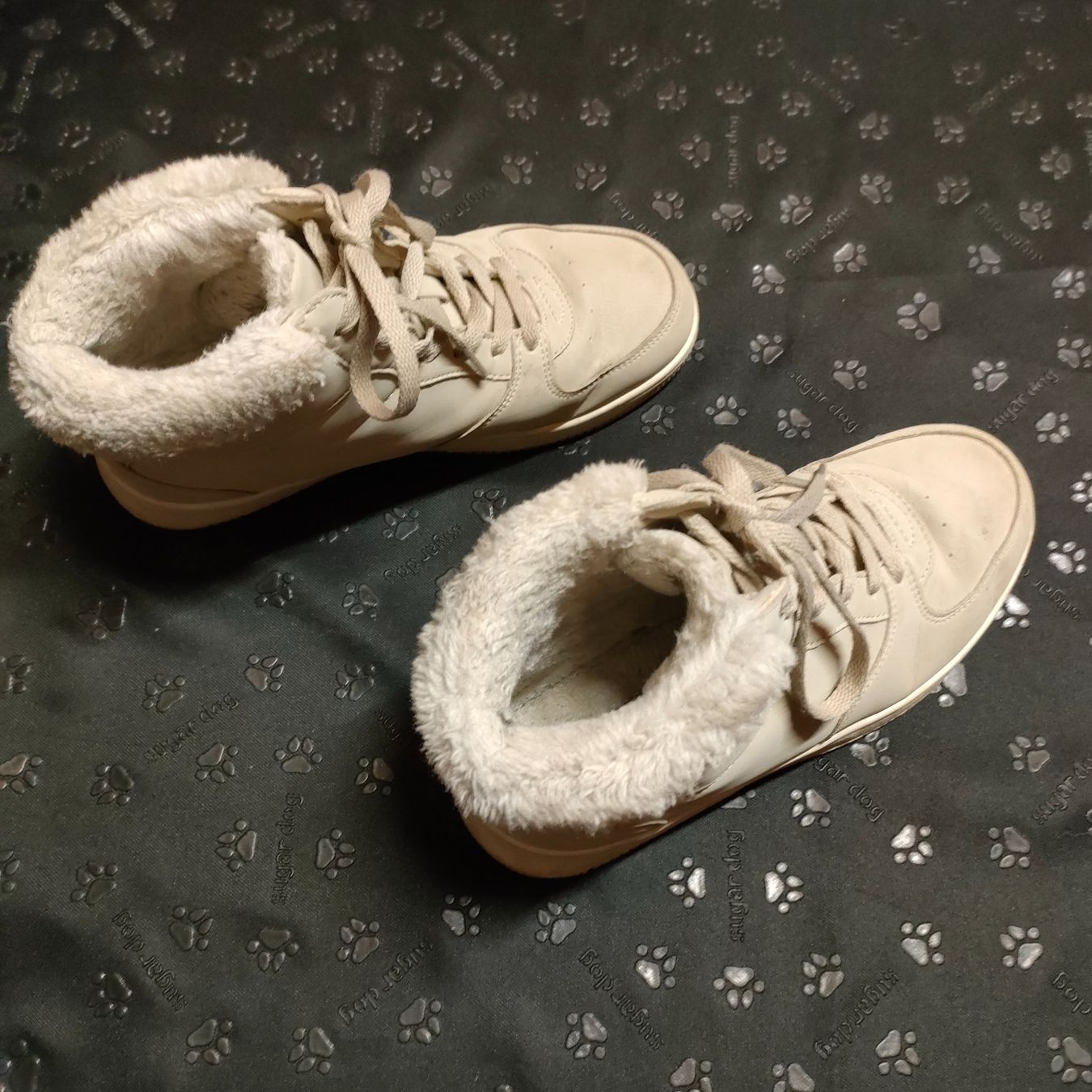 Scarpe da donna: Schuhe Gr.38 Lejon – Usato da Adelboden venduto da Lammhult 2