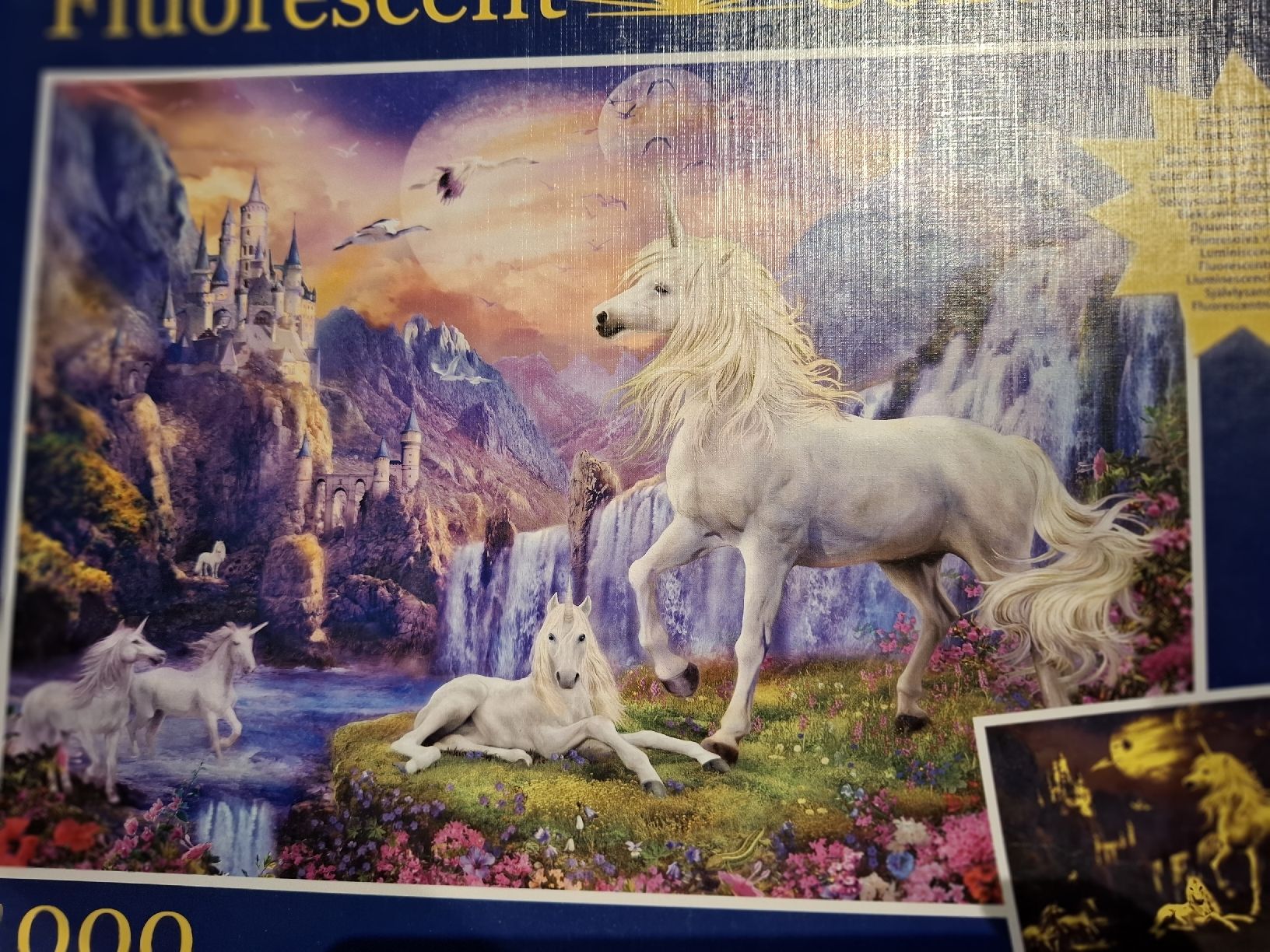 Clementoni Puzzles: Fluoreszierendes Puzzle, 1000 Teile, Einhorn – Gebraucht aus Oftringen von januarloch 7