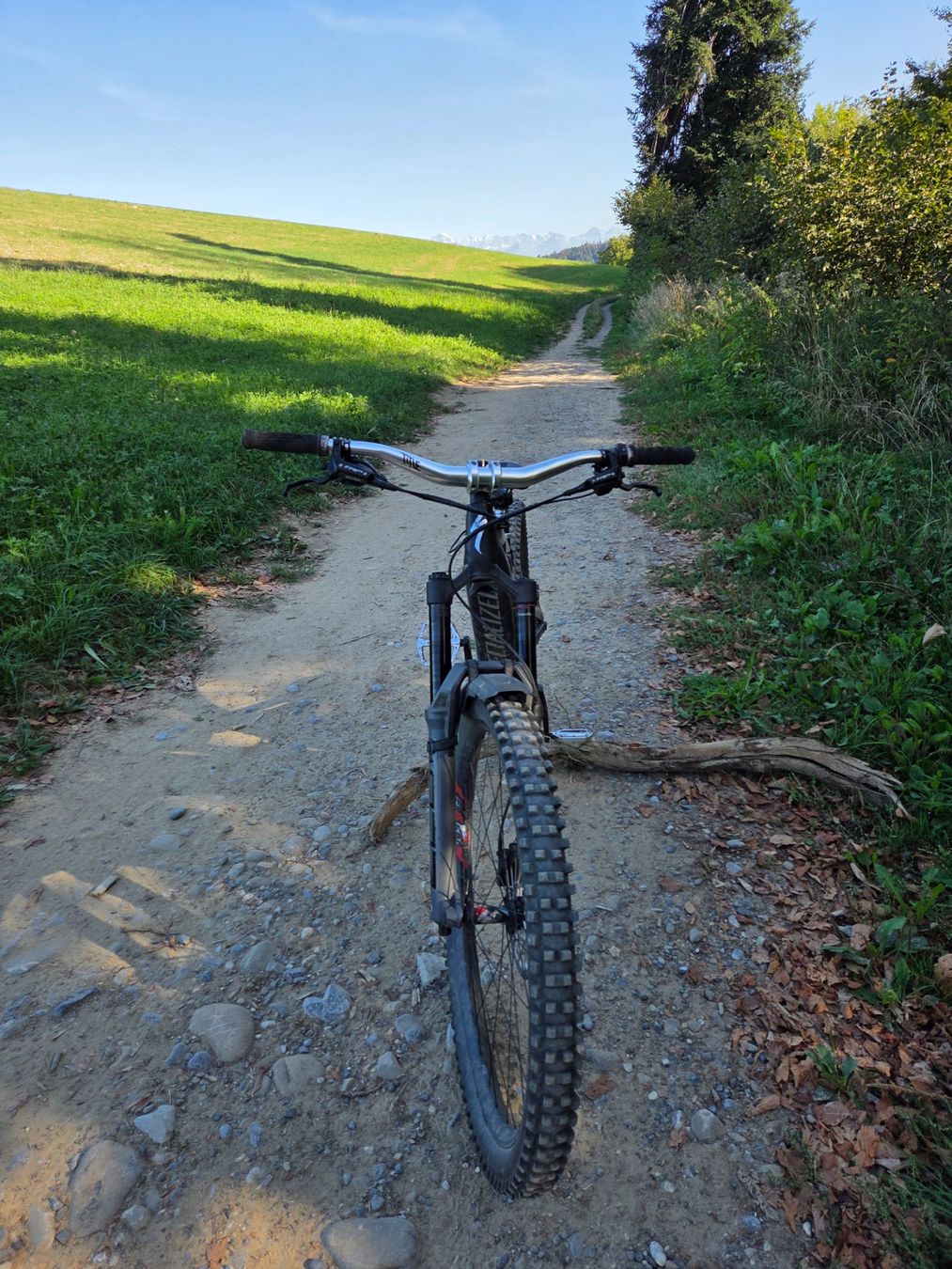 Specialized Biciclette: Specialized Kenevo/Neu – Usato da Bern venduto da Freeride001 4