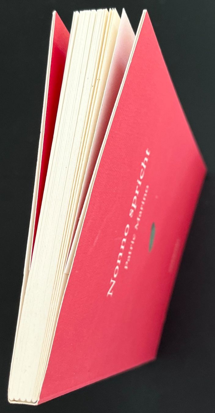 Bücher: Patric Marino - Nonno spricht – Neu (gemäss Beschreibung) aus Bern von  4