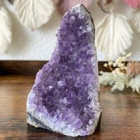 ✲ Amethyst Cluster ✲ 445g / 112mm Amethyst Stufe Druse