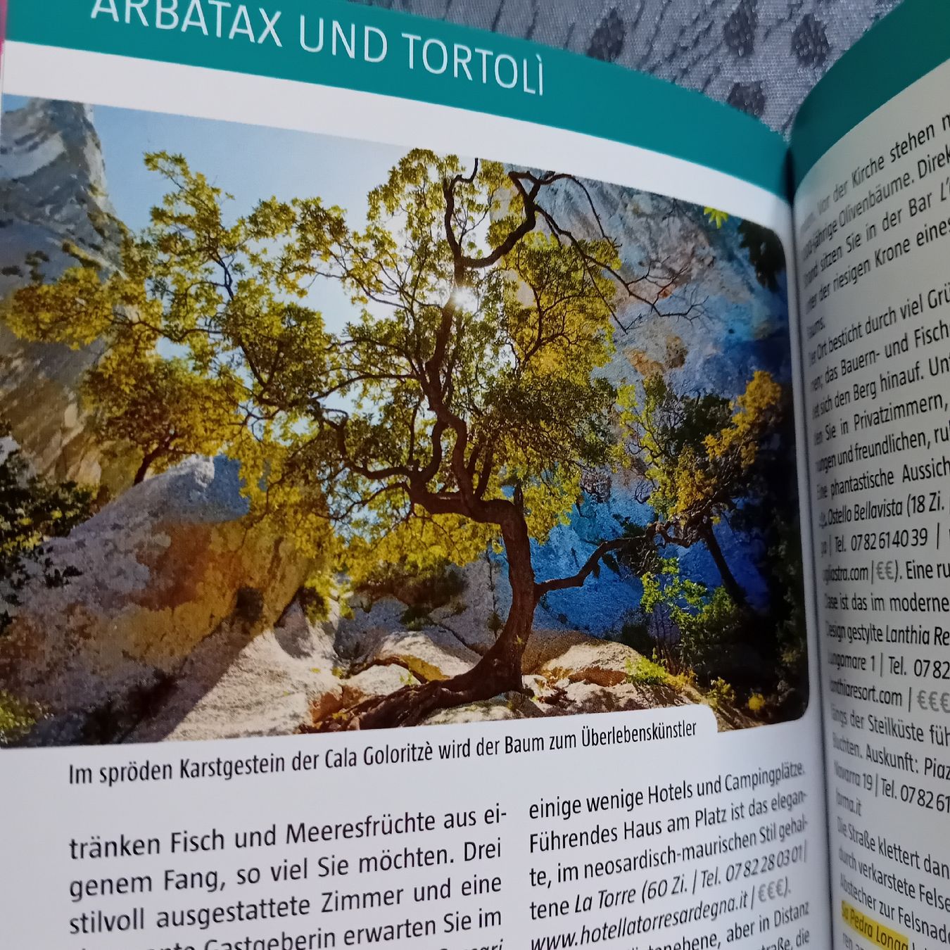 Libri: Reiseführer Sardinien – Usato da Witterswil venduto da hele04 3