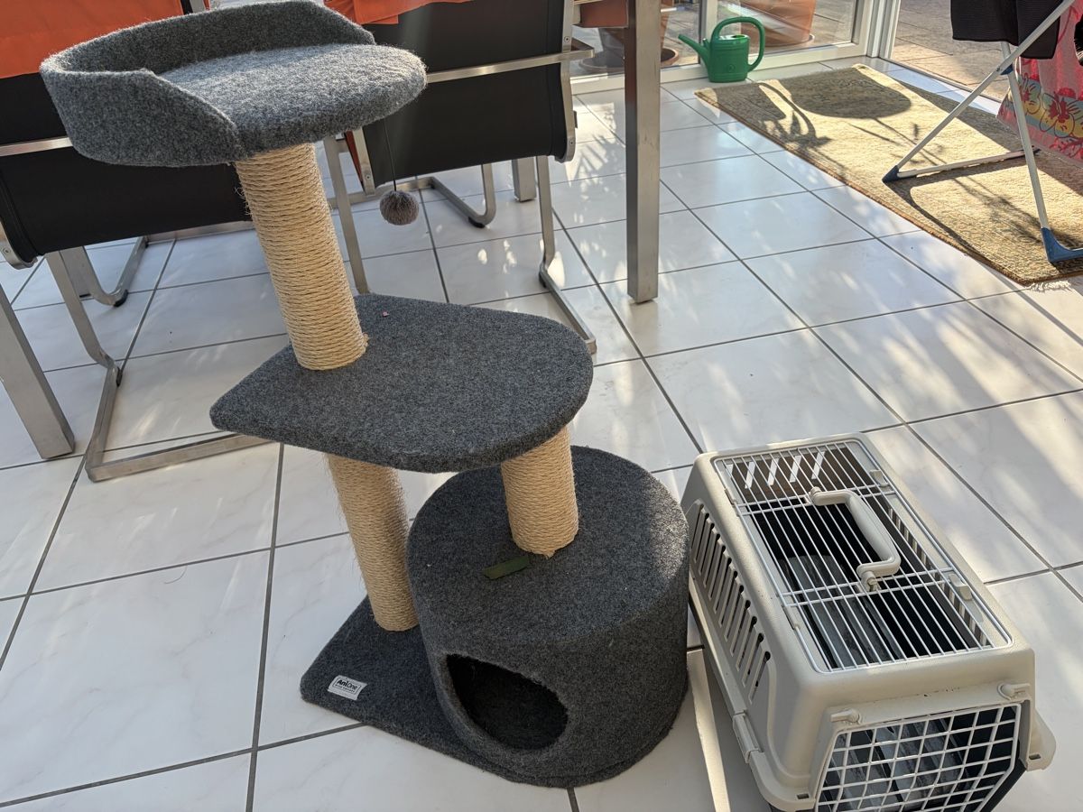 Tiragraffi: Katzen - Geräte – Usato da Gontenschwil venduto da bluetrain02