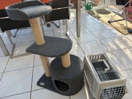 Katzen - Geräte