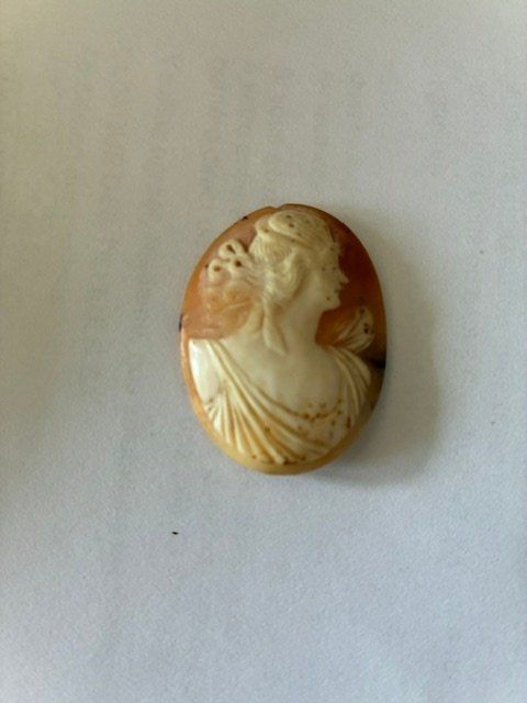 camée coquillage - buste et profil Dame 35 mm- 19ème 4 g - (Gebraucht ...