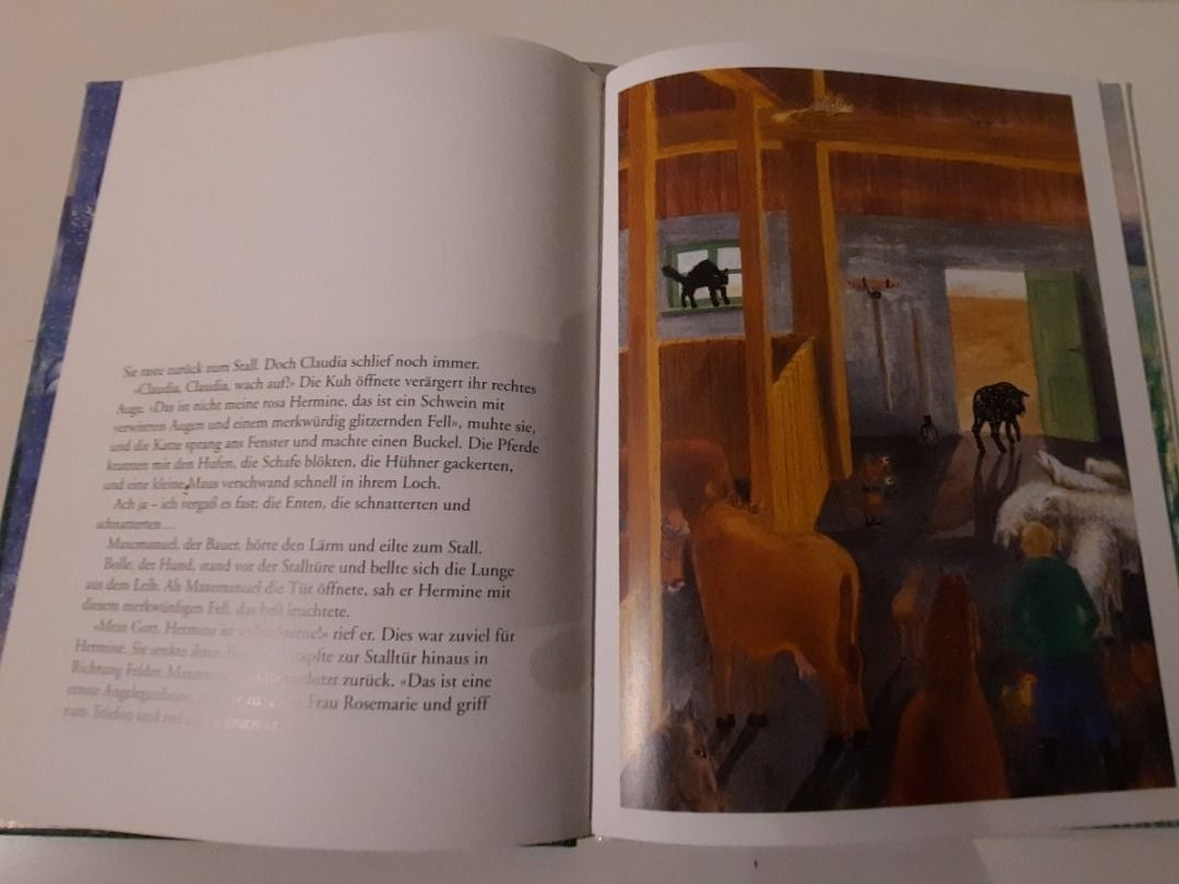 Libri: ***HERMINE DAS SCHWEIN*** Bilderbuch – Usato da Wädenswil venduto da H2H_Secondhandshop 1
