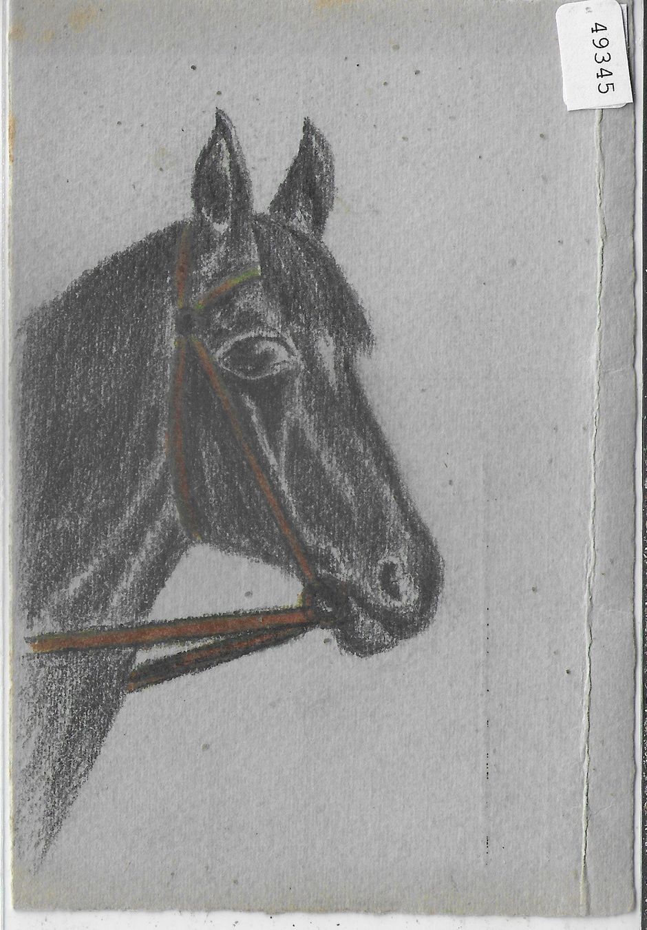 Cartes postales: Pferdekopf - Handgemalt – D'occasion à Ettingen par Kartenplanet