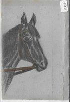 Pferdekopf - Handgemalt
