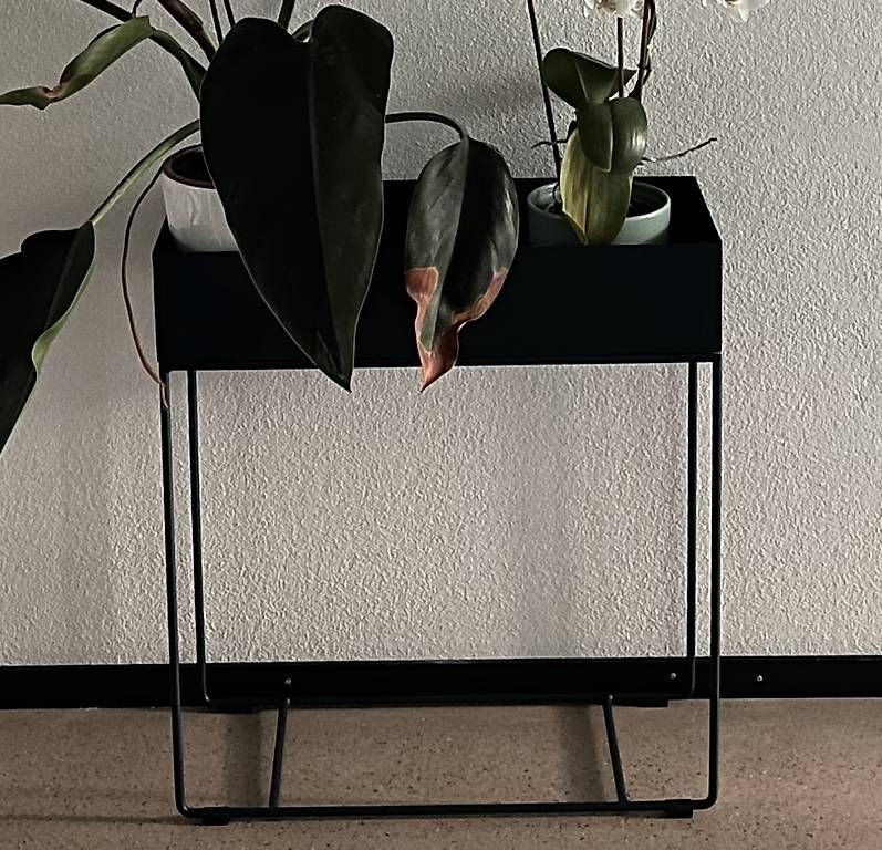 Altro per la casa: Giardimo LAB Stanley, Metall-Pflanzenständer dunkelblau – Usato da Winterthur venduto da Fazzoletto 3