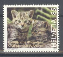 2009, Europäische Wildkatzen **
