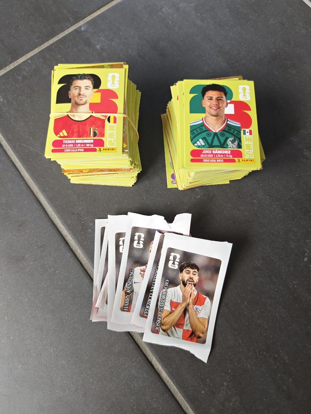 Panini Sammelbilder & Trading cards: Panini Sticker – Gebraucht aus Muotathal von ghe_lpv2