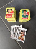 Panini Sticker