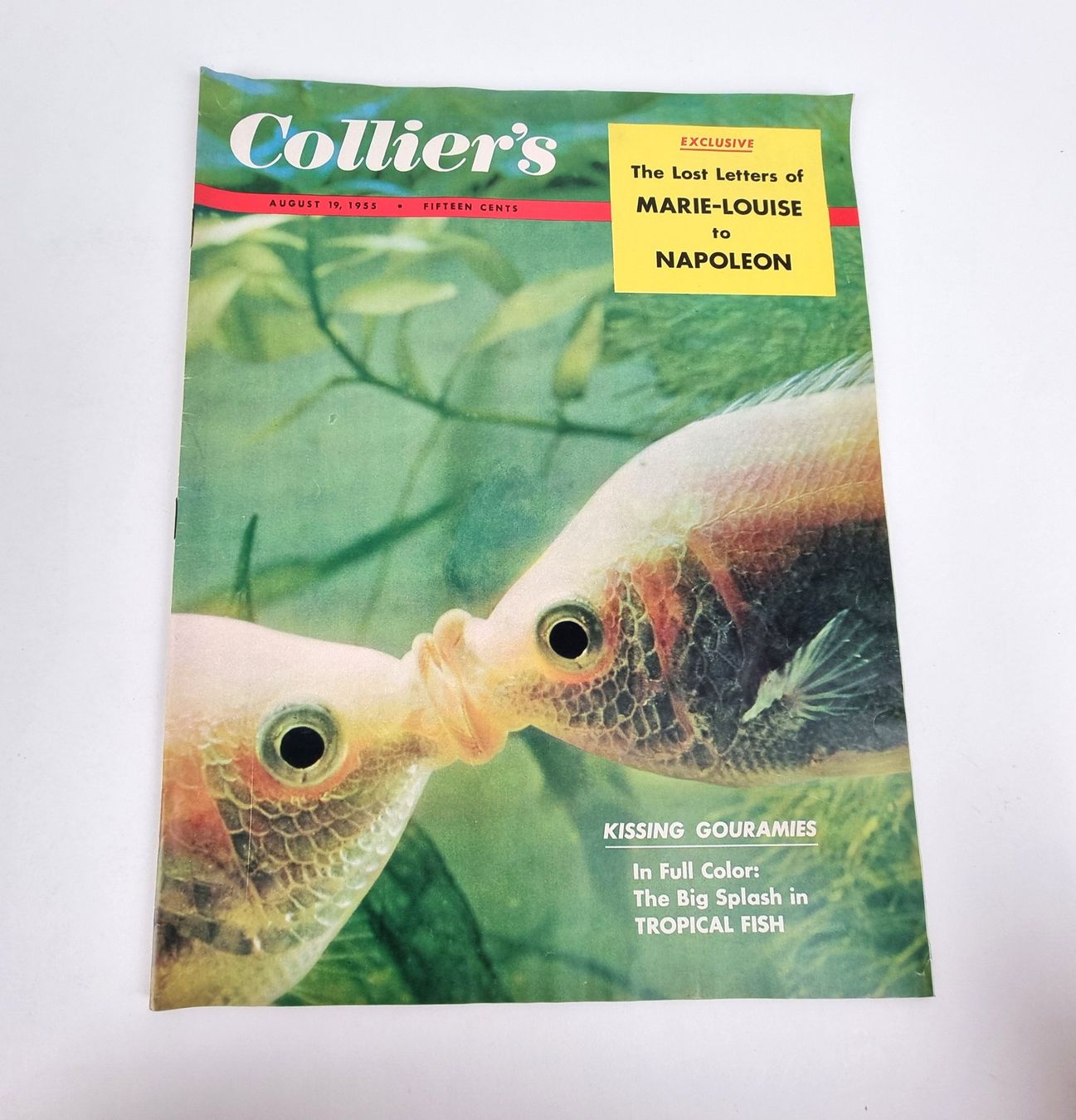 Riviste & Magazine: Collier's Hefte, diverse Ausgaben von 1955 – Usato da Urtenen-Schönbühl venduto da Restwert_Schoenbuehl