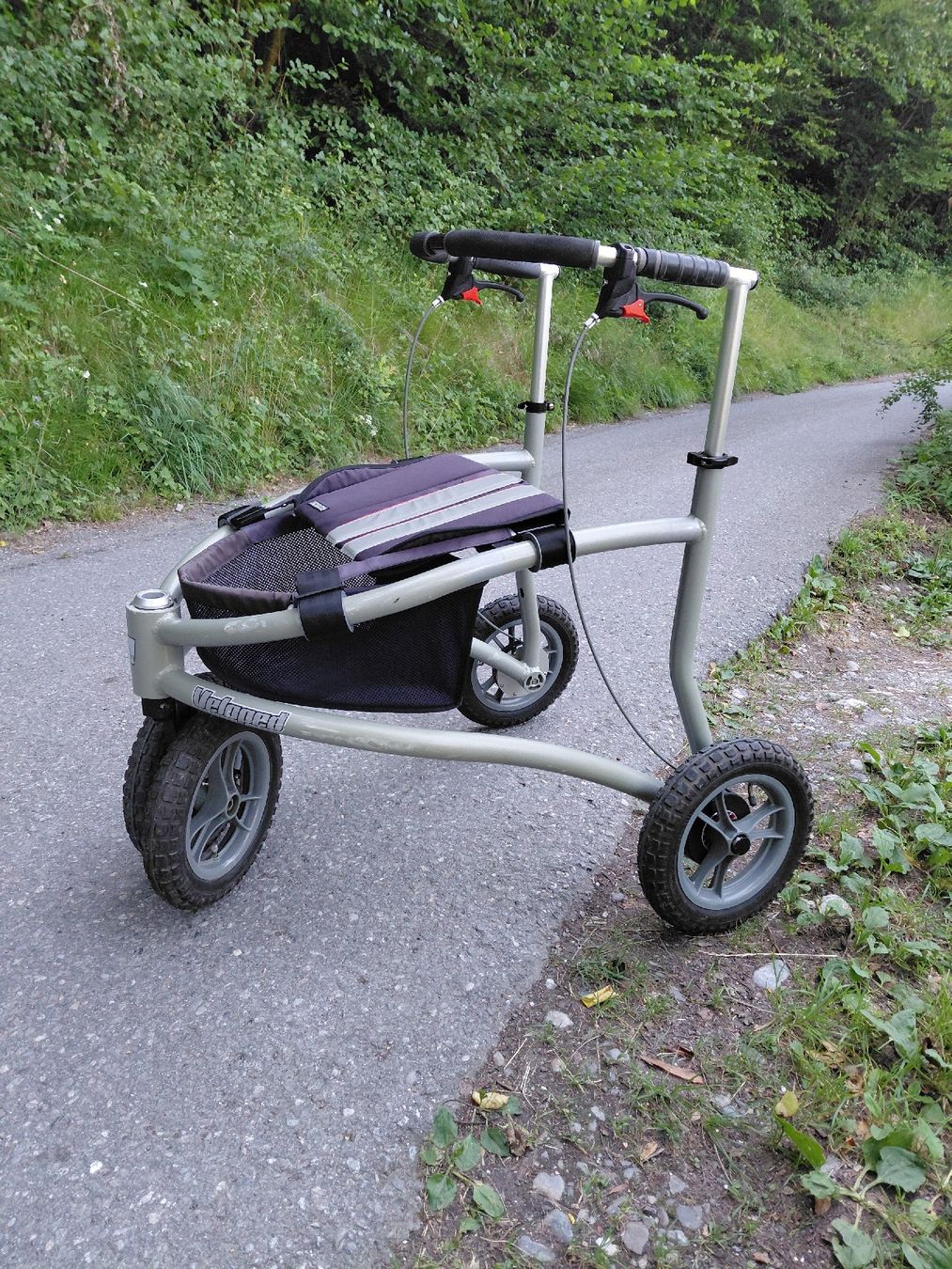 Gehhilfen: Rollator Veloped Trionic12er M  – Gebraucht aus Untervaz von Rezina 1