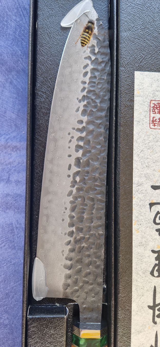 Coltelli da cucina: Kochmesser damast – Nuovo (secondo la descrizione) da Burgdorf venduto da maj_swz8 2