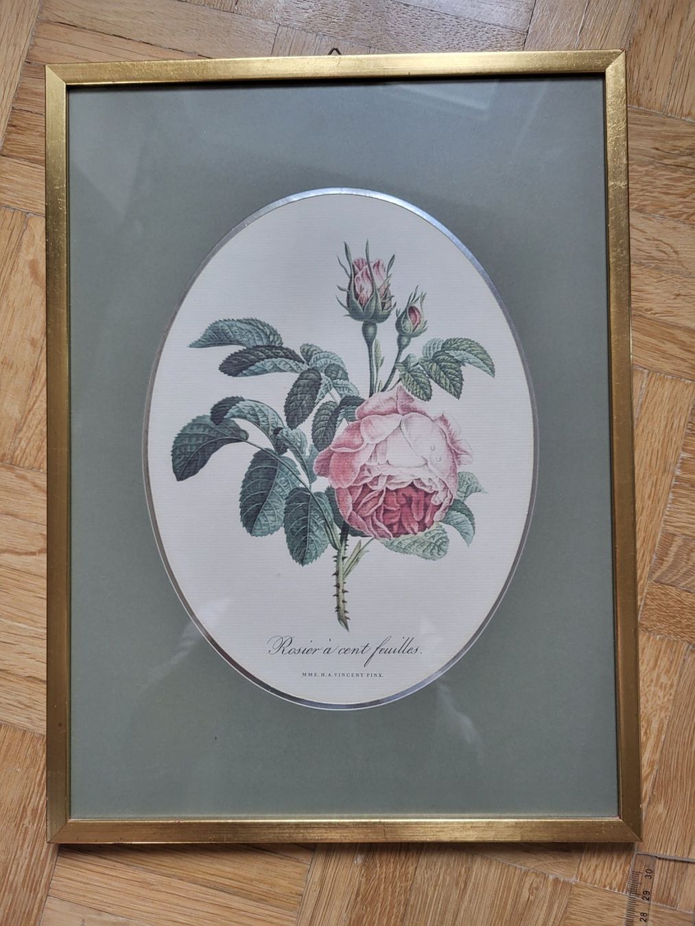 Posters & Illustrations: Bild mit schöner Rose – D'occasion à stäfa par brandy66