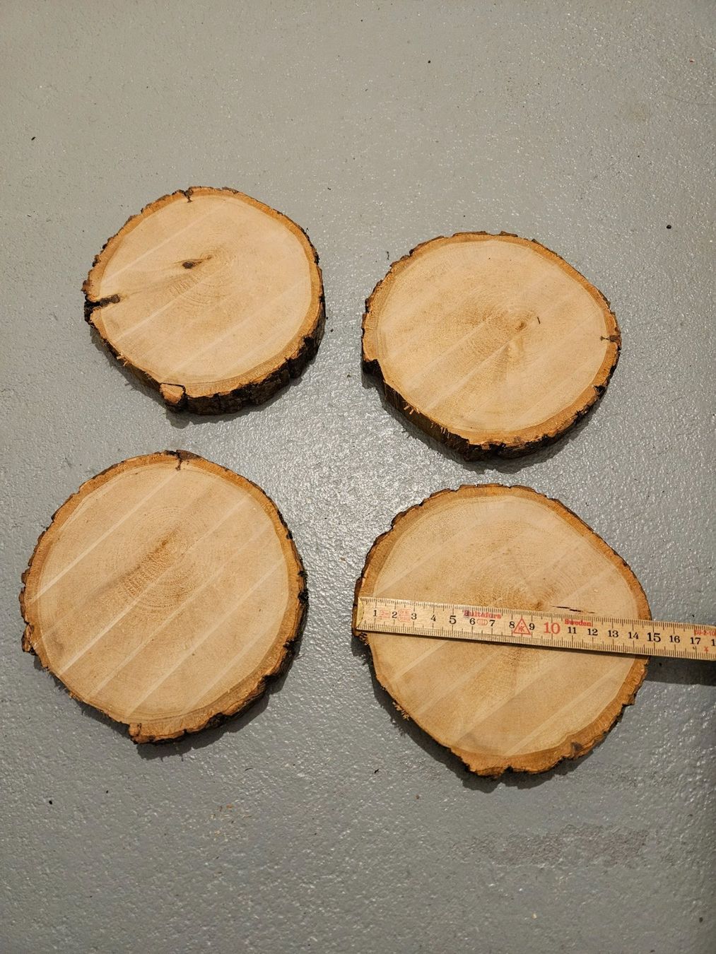 Articoli in legno: Rundholzscheiben/Baumscheiben – Nuovo (secondo la descrizione) da Brunnen venduto da kent03 3