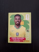 panini 2026 bra 6