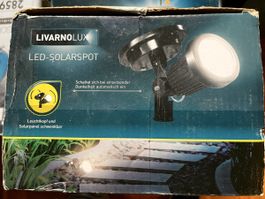 LIVARNO LUX LED-Solarspot bewegungsgesteuert neu