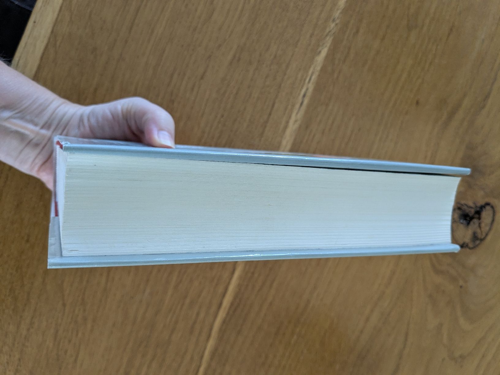 Bücher: Michael Ende: Die unendliche Geschichte  – Gebraucht aus Wohlen AG von merkur0300 4