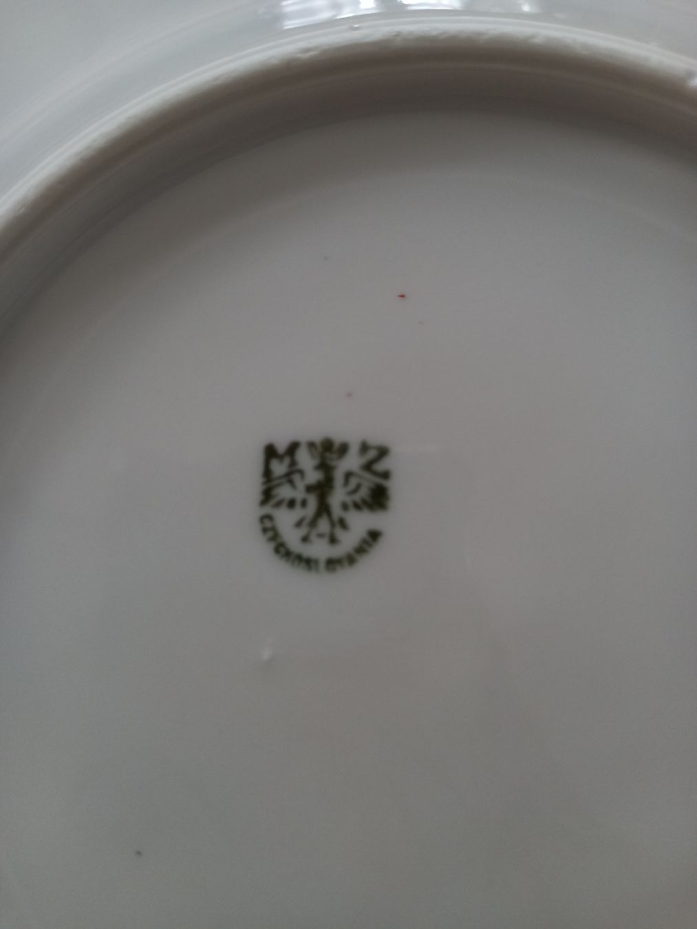 Set di piatti: Kaffeegeschirr Kornblumen – Usato da Aarburg venduto da chregi79 1