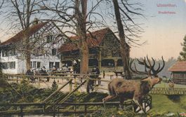 Ansichtskarte Winterthur Bruderhaus mit Hirsch Zoo 1915