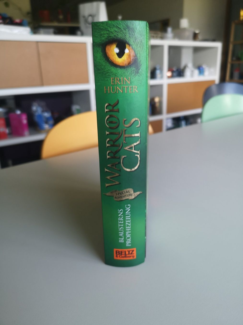 Bücher: WARRIOR CATS Special Adventure - Blausterns Prophezeiung – Neu (gemäss Beschreibung) aus Jona von CHE.ARG 1