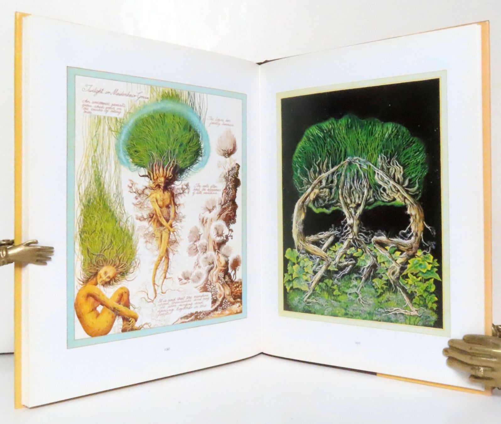 Bücher: Amarante. La flore et la faune d'Atlantis – Gebraucht aus Le Locle von LibrairieLaBergerie 2