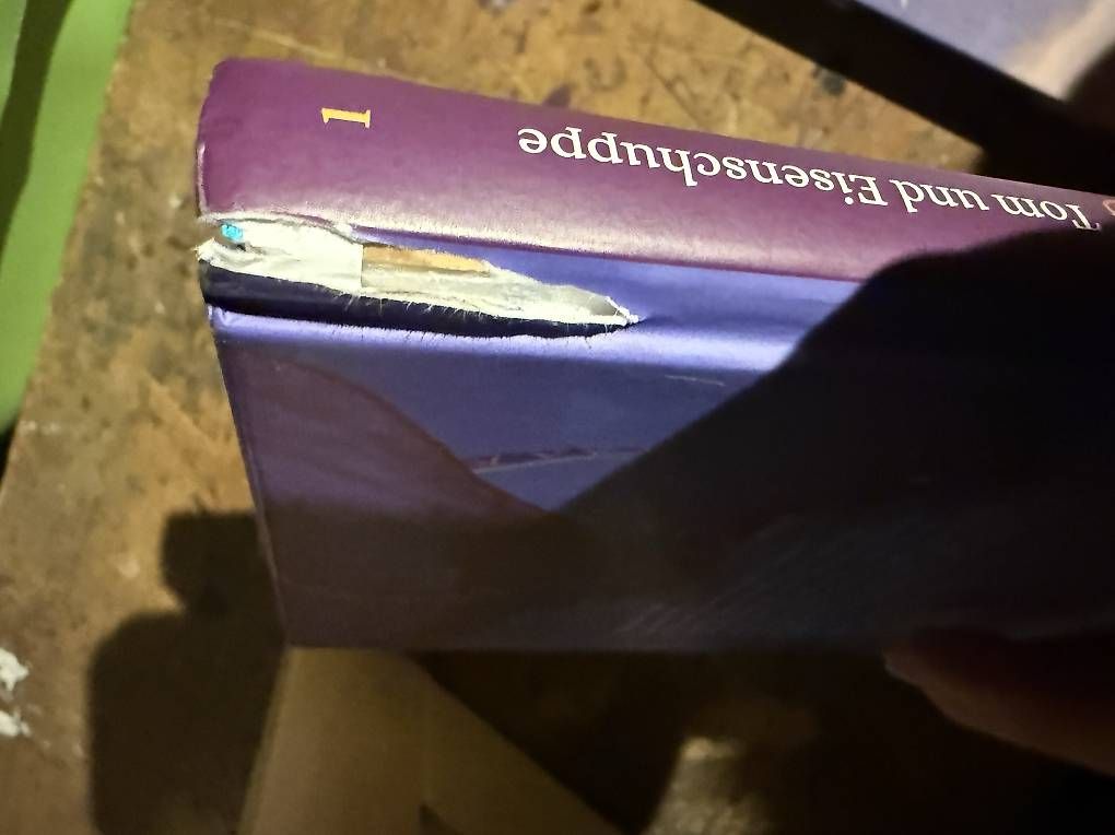 Libri: Drachensturmbücher – Usato da Bonaduz venduto da aye_qh6g 2