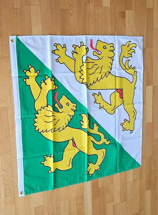 Fahnen: Thurgauer Kantonsflagge, Neu und Originalverpackt, 90x90cm – Neu und originalverpackt aus Kreuzlingen von UAE 7
