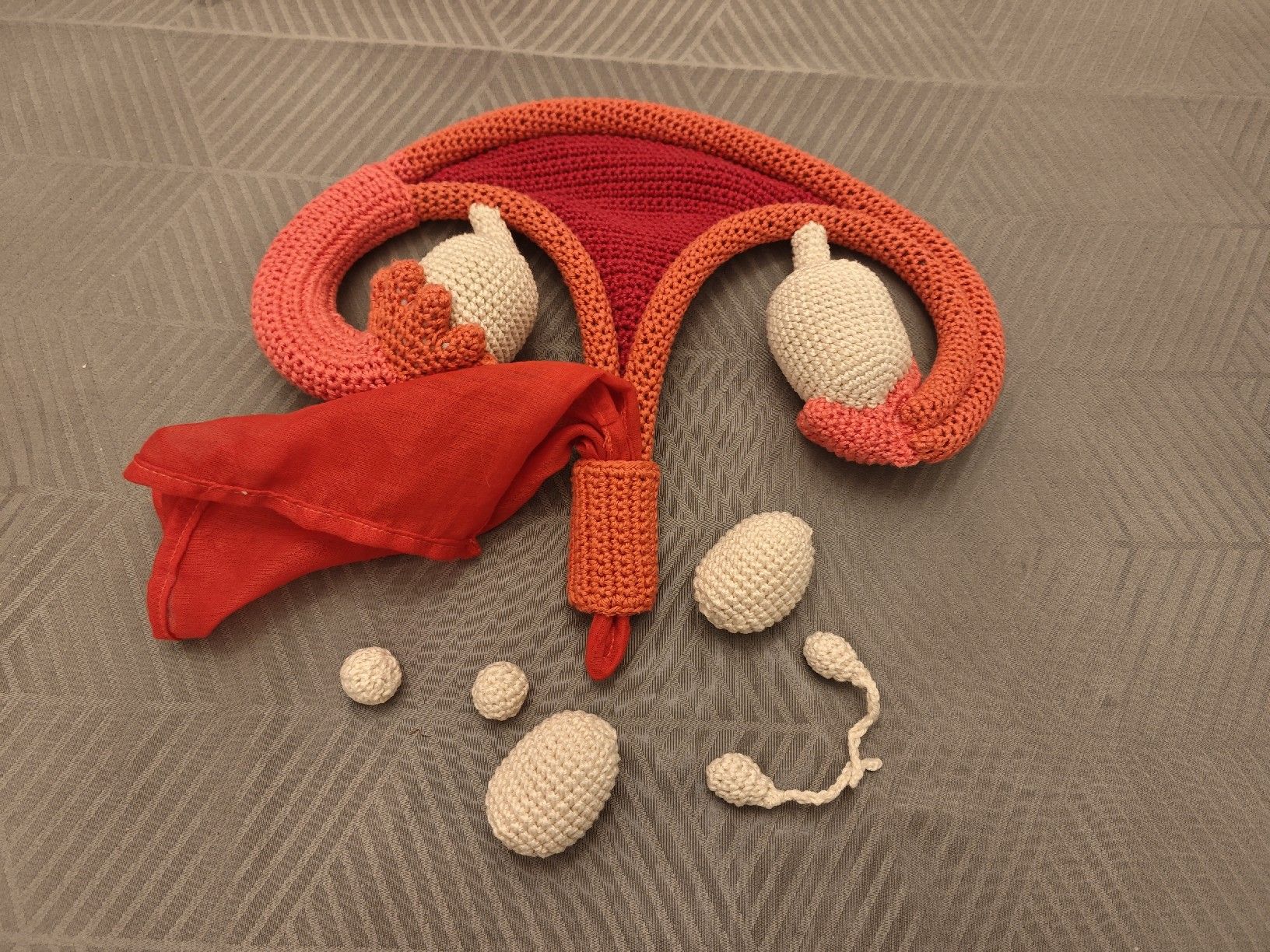 Kit di modellismo & Modellini statici: Gebärmutter Sexualpädagogisches Material – Nuovo e nell'imballaggio originale da Romanshorn venduto da topolino91 1