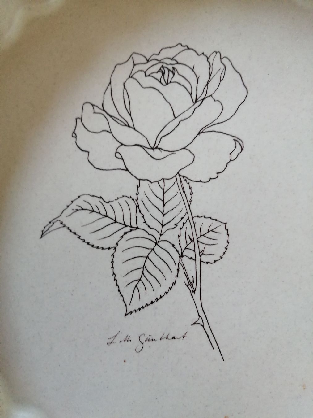 Rössler Teglie da forno: RÖSSLER Kuchenform mit Rosenmotiv Durchmesser ca. 24cm – Usato da Honau venduto da holunder3 1