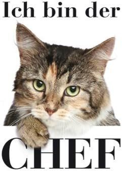 Calamite: Mini-Blech-Magnet-KATZE-ICH BIN DER CHEF – Nuovo e nell'imballaggio originale da Rupperswil venduto da big-one-sale
