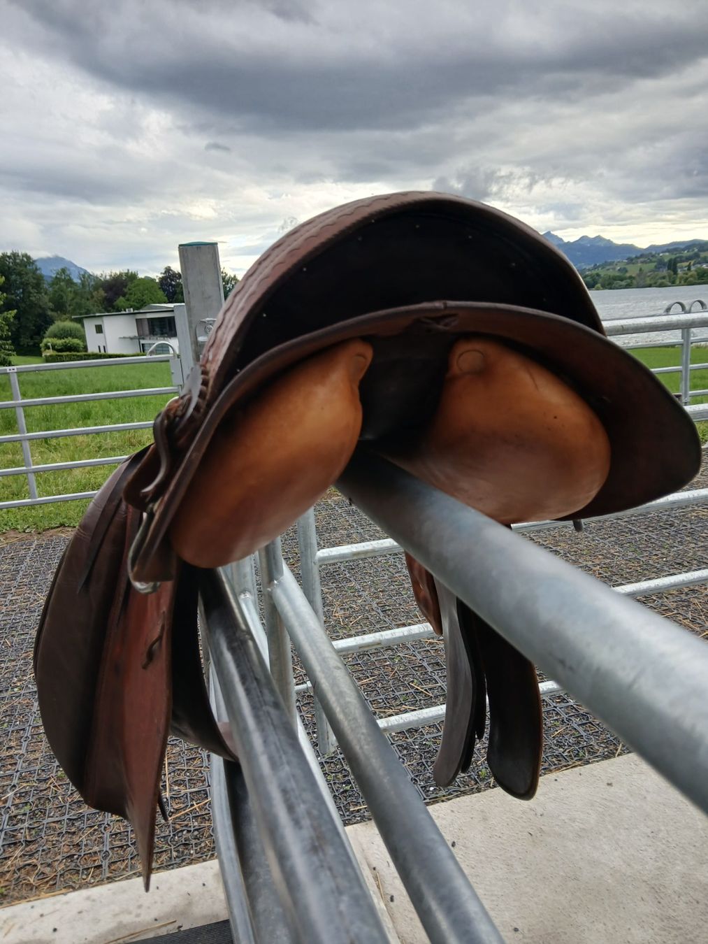 Sattel & Sattelzubehör: Sattel Althaus – Gebraucht aus Küssnacht am Rigi von saschigalka 1