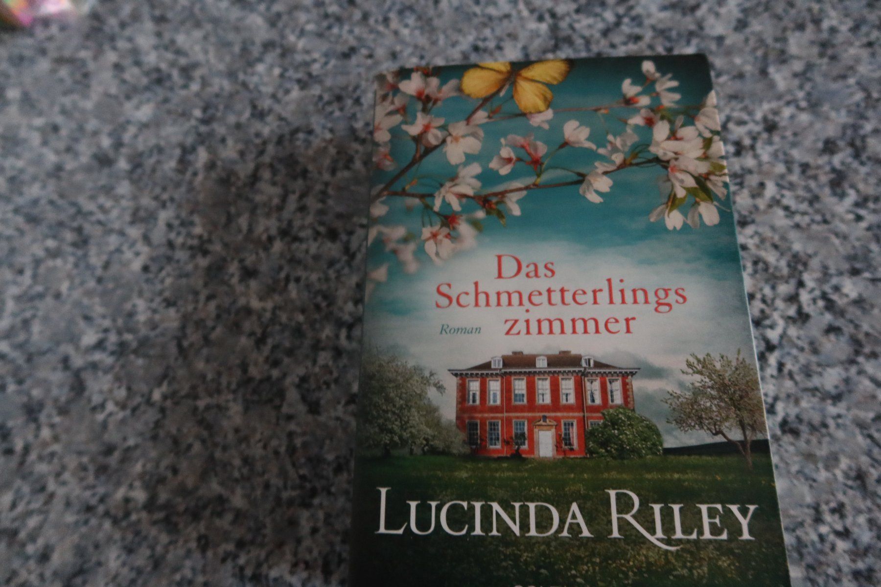 Bücher: Das Schmetterlingszimmer – Gebraucht aus Täuffelen von Cindybussy