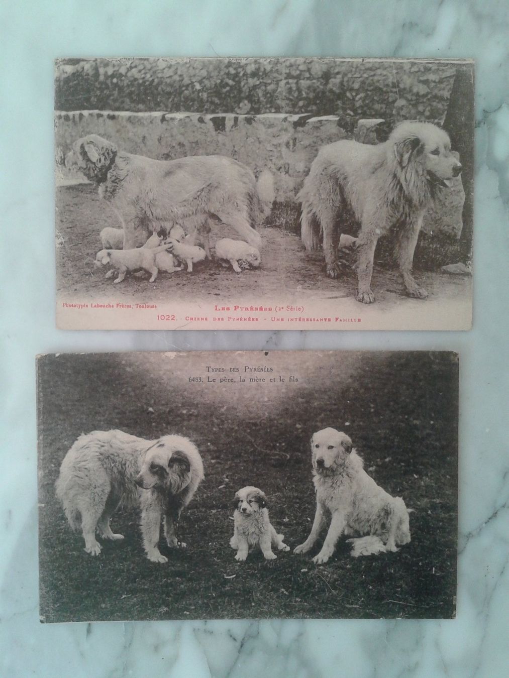 Cartoline postali: 3 alte Postkarten 1922/1934 Hunde Frankreich – Usato da Camorino venduto da Campellino