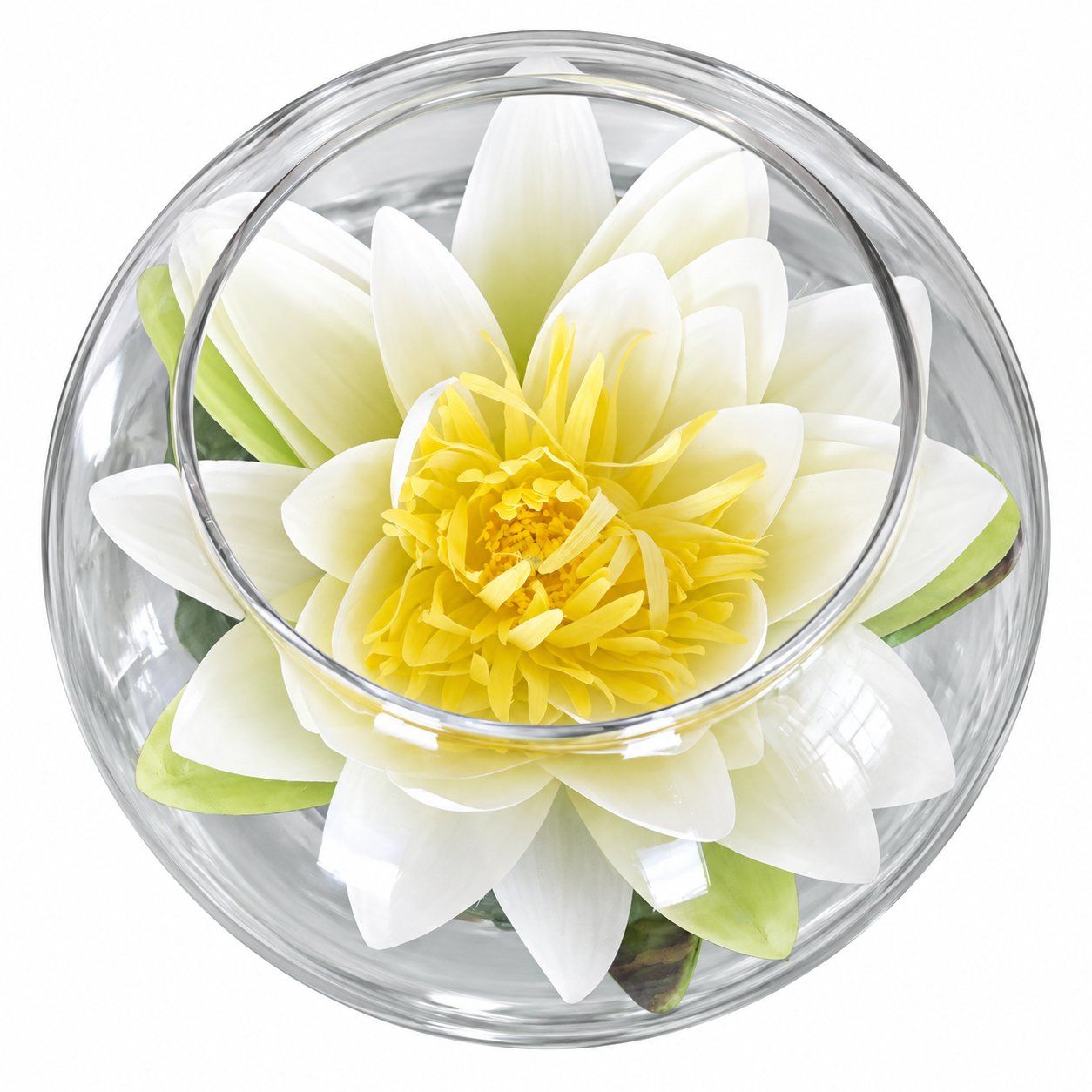 Alle Dekorationen: Dekorative Glaskugel mit Seerose – Gebraucht aus Bülach von rob_lvc8