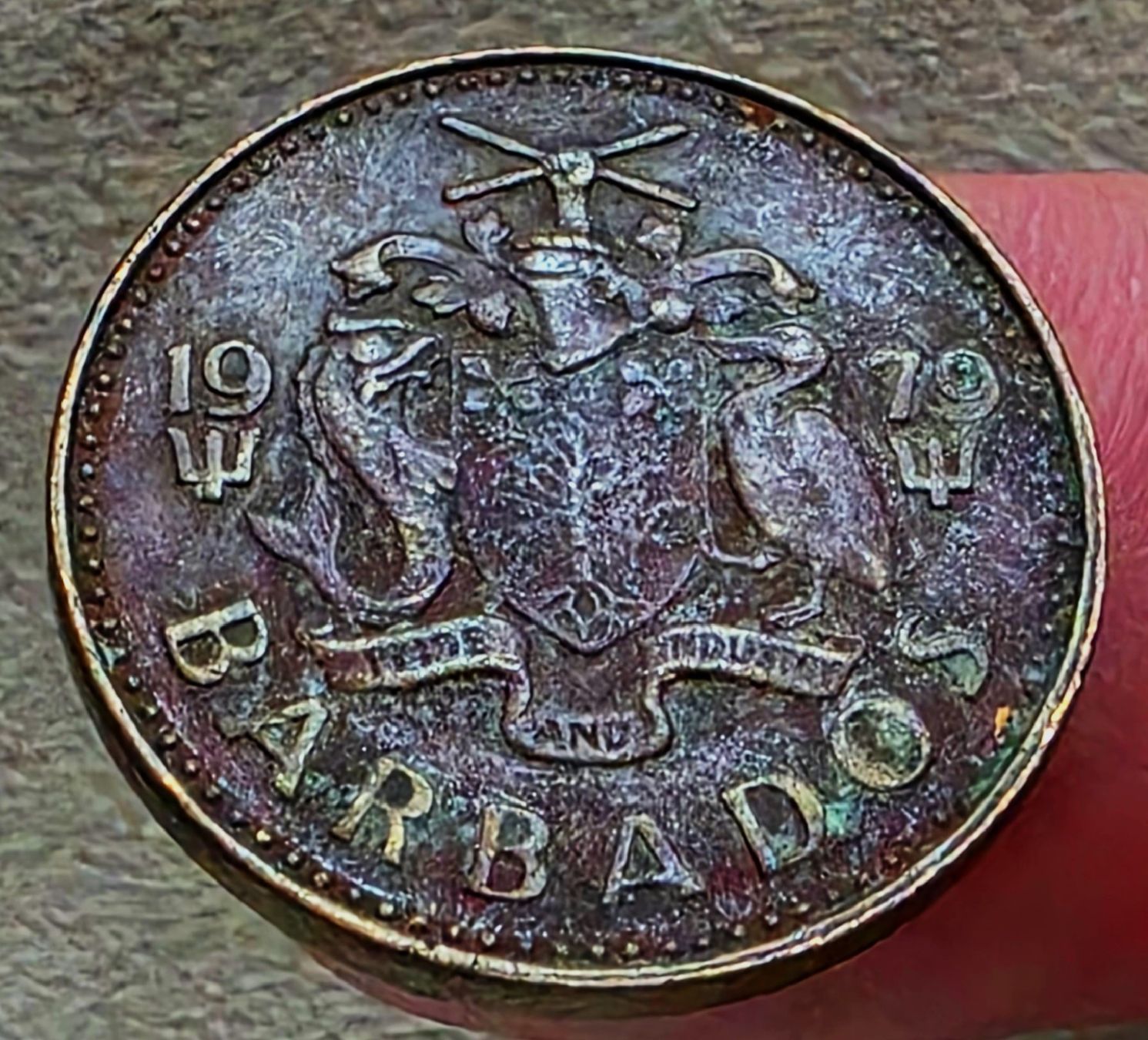Tutti le monete: BARBADOS 5 CENTS 1979 – Nuovo (secondo la descrizione) da winterthur venduto da CoinPassion 1