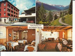 Davos Ochsen ca. 1970