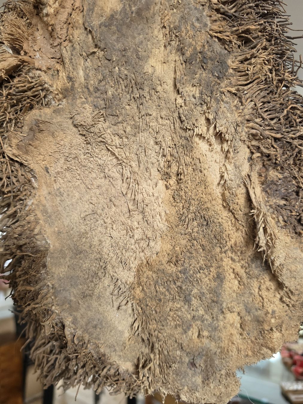 Skulpturen & Statuen: Holzskulptur "Kopf mit Bart" - Einzigartiges Unikat! – Gebraucht aus Mettlen von elios0888 2