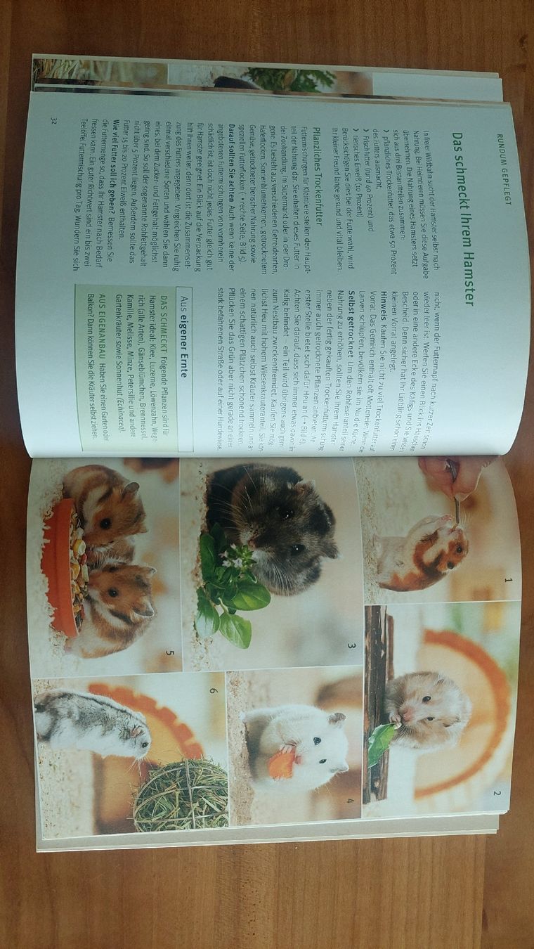 Libri: Buch Hamster Tierratgeber – Usato da Gümmenen venduto da Ad_La 1