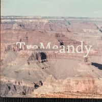 TreMeandy – Reggiani / Quinn /Pramotton (CD QFTF) Swiss Jazz
