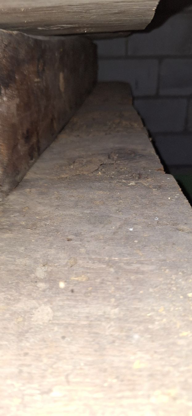 Articoli in legno: Altholzbretter Fichte CH – Usato da Kloten venduto da WOODStudio 1