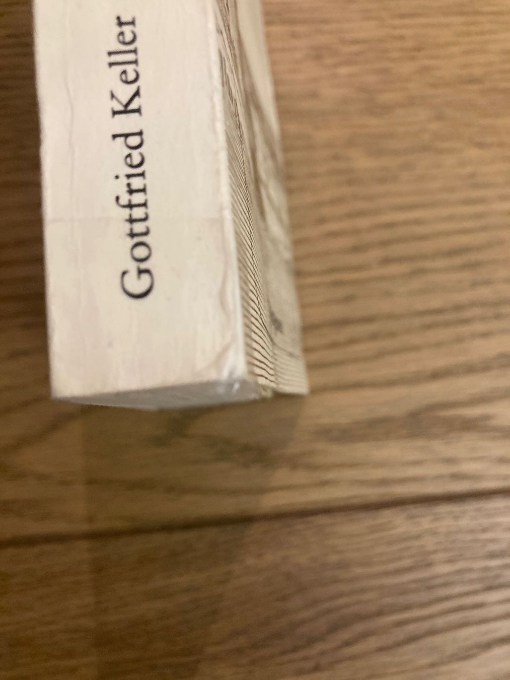 Libri: Der grüne Heinrich (Gottfried keller) – Nuovo (secondo la descrizione) da Zollikofen venduto da schildi13 2