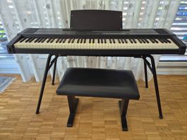 Keyboard / Elektro-Piano